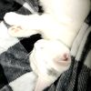 amyyy_0140