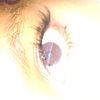 tip_lovey.rbx