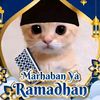 alfizar.yusuf.hab