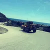 xmelxx8