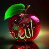 kanwal.aftab3040
