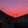 .piscess_2