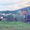 peytonfarms