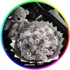 ca_rot2301