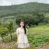 quynhnhan729