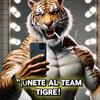 tigre.castillos43467