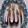 islamerpoteacho5083
