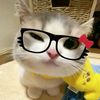 lluvv.yyaaa