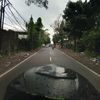 _gnxzz_cihuy