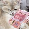 userzhaotong23