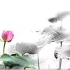 sl.ong02