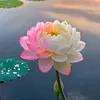 lyduyen80
