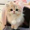 89chima_a