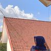 llsintaull_