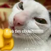 thaoi_08