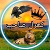 ramzan.kharal693