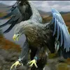 hassta36