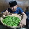 PELIKIPU