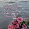 um_masoud8