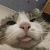 nhthuandayyy