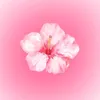 ga_biii.077
