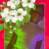 user7145422428798