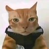 anak_roblox169