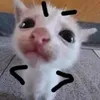 moncamday3