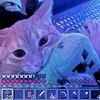 meow_multi