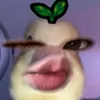 buuu2027