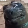 monke7844