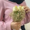 sham_1._3