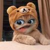 kmu_nanyaa25