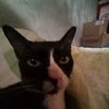 rasya_judge00