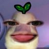 xyzzz_syaaaxy