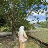 itsmesaasaa | gadis racun!