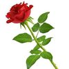 user5488016095747