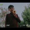 alihaidershah291