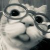 saaz_31