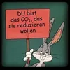 dach.schaden8