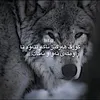 hamabwm11