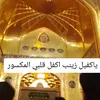 user74700244277247