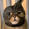 onetalponso2