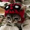 hibbibibii