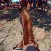 murilo_mrs51