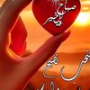 sawsan.sabet