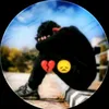 user7616928328111