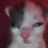 r_jennie0