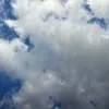 trcgfhdgyh