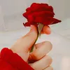 user4515955195716